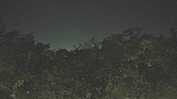 Weather camera view of Metairie Club Gardens.