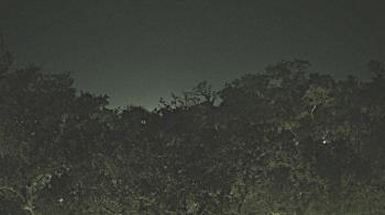 Weather camera view of Metairie Club Gardens.