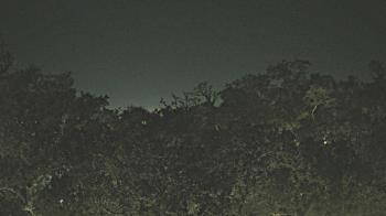 Weather camera view of Metairie Club Gardens.