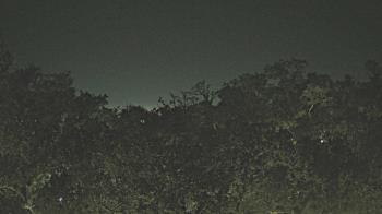 Weather camera view of Metairie Club Gardens.