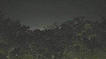 Weather camera view of Metairie Club Gardens.