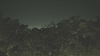 Weather camera view of Metairie Club Gardens.