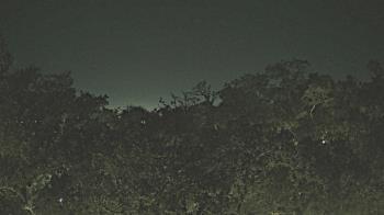 Weather camera view of Metairie Club Gardens.