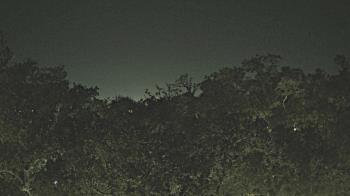 Weather camera view of Metairie Club Gardens.