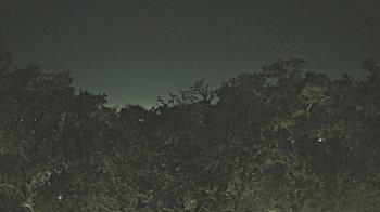 Weather camera view of Metairie Club Gardens.