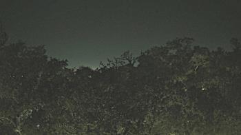 Weather camera view of Metairie Club Gardens.