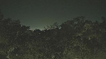 Weather camera view of Metairie Club Gardens.