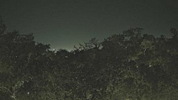 Weather camera view of Metairie Club Gardens.