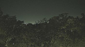 Weather camera view of Metairie Club Gardens.