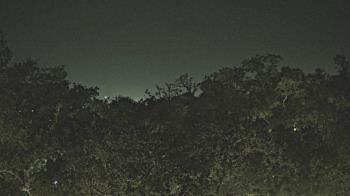 Weather camera view of Metairie Club Gardens.