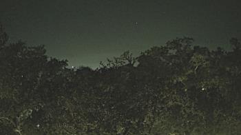 Weather camera view of Metairie Club Gardens.