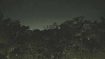 Weather camera view of Metairie Club Gardens.