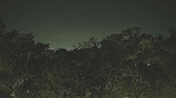 Weather camera view of Metairie Club Gardens.