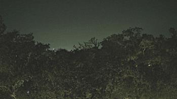 Weather camera view of Metairie Club Gardens.