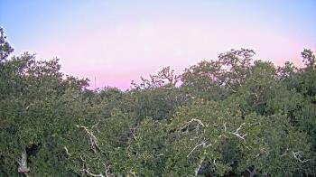 Weather camera view of Metairie Club Gardens.
