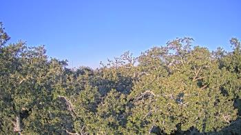 Weather camera view of Metairie Club Gardens.