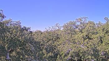 Weather camera view of Metairie Club Gardens.
