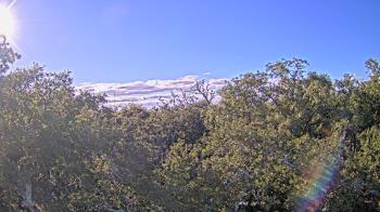 Weather camera view of Metairie Club Gardens.