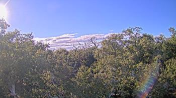 Weather camera view of Metairie Club Gardens.