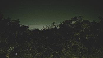 Weather camera view of Metairie Club Gardens.