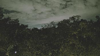 Weather camera view of Metairie Club Gardens.