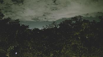 Weather camera view of Metairie Club Gardens.