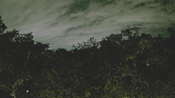 Weather camera view of Metairie Club Gardens.