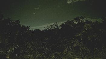 Weather camera view of Metairie Club Gardens.