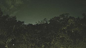 Weather camera view of Metairie Club Gardens.