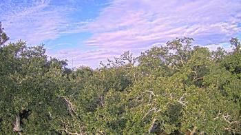 Weather camera view of Metairie Club Gardens.