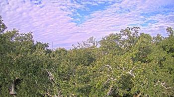 Weather camera view of Metairie Club Gardens.
