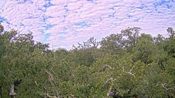 Weather camera view of Metairie Club Gardens.