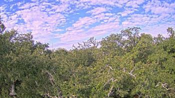Weather camera view of Metairie Club Gardens.