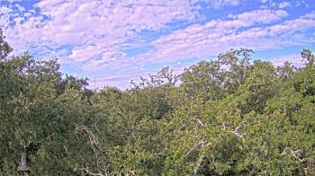 Weather camera view of Metairie Club Gardens.