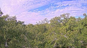 Weather camera view of Metairie Club Gardens.