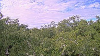 Weather camera view of Metairie Club Gardens.