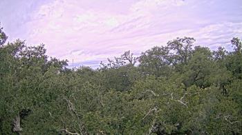 Weather camera view of Metairie Club Gardens.