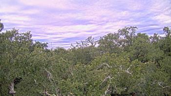 Weather camera view of Metairie Club Gardens.