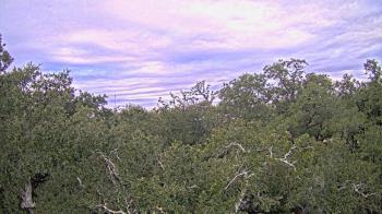 Weather camera view of Metairie Club Gardens.