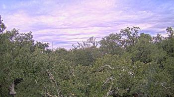 Weather camera view of Metairie Club Gardens.