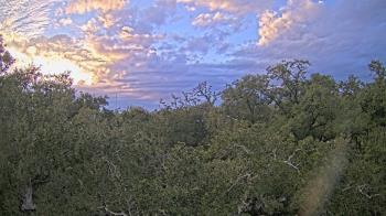 Weather camera view of Metairie Club Gardens.