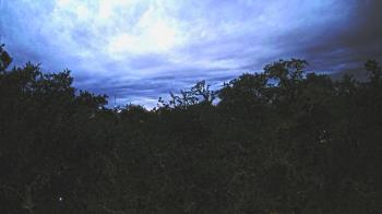 Weather camera view of Metairie Club Gardens.