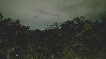 Weather camera view of Metairie Club Gardens.