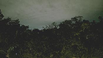 Weather camera view of Metairie Club Gardens.