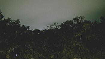 Weather camera view of Metairie Club Gardens.