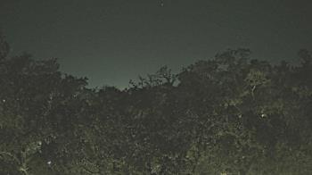 Weather camera view of Metairie Club Gardens.