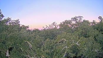 Weather camera view of Metairie Club Gardens.