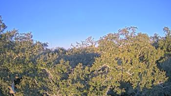 Weather camera view of Metairie Club Gardens.