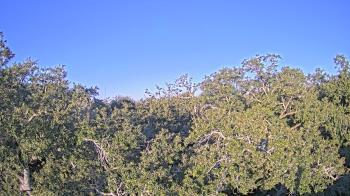 Weather camera view of Metairie Club Gardens.