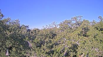 Weather camera view of Metairie Club Gardens.